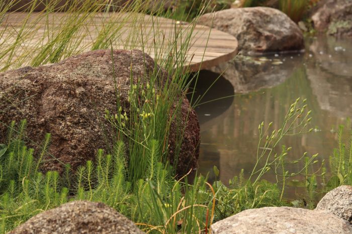 landscape design